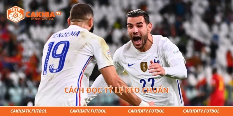 Cách đọc tỷ lệ kèo chuẩn