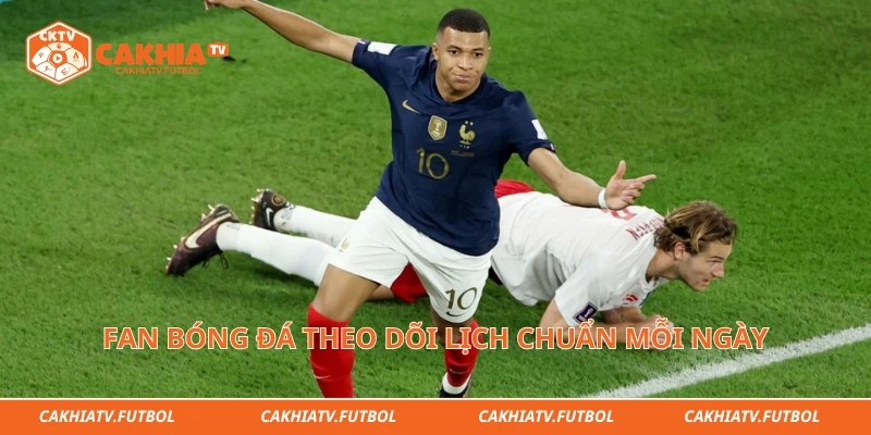 Fan bóng đá theo dõi lịch chuẩn mỗi ngày