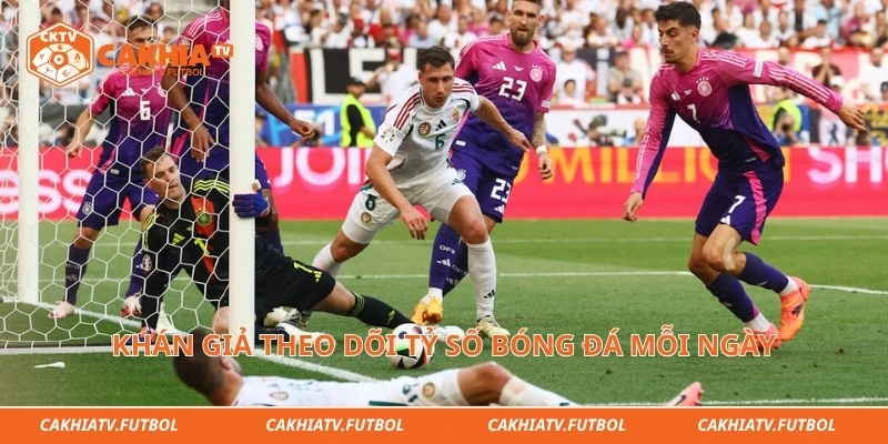 Khán giả theo dõi tỷ số bóng đá mỗi ngày