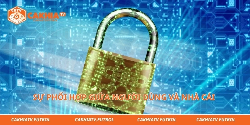 Sự phối hợp giữa người dùng và nhà cái tạo nên không gian thể thao an toàn